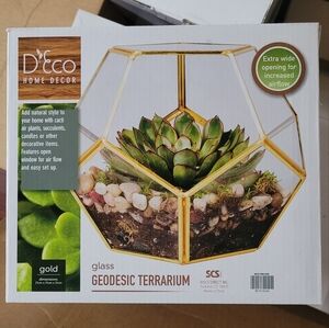 Glass terrarium